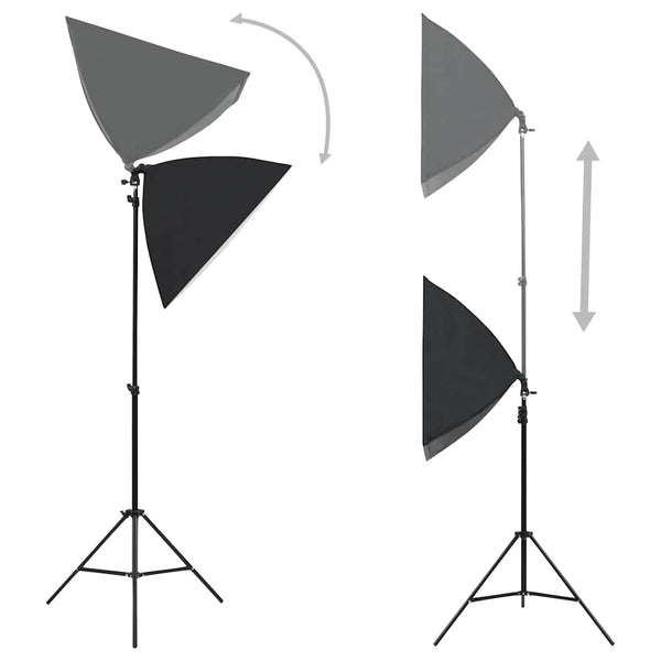 vidaXL Professional Studio Lights 2 pcs. 40x60 cm Steel Black