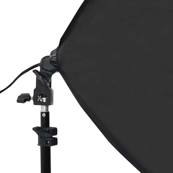 vidaXL Professional Studio Lights 2 pcs. 40x60 cm Steel Black