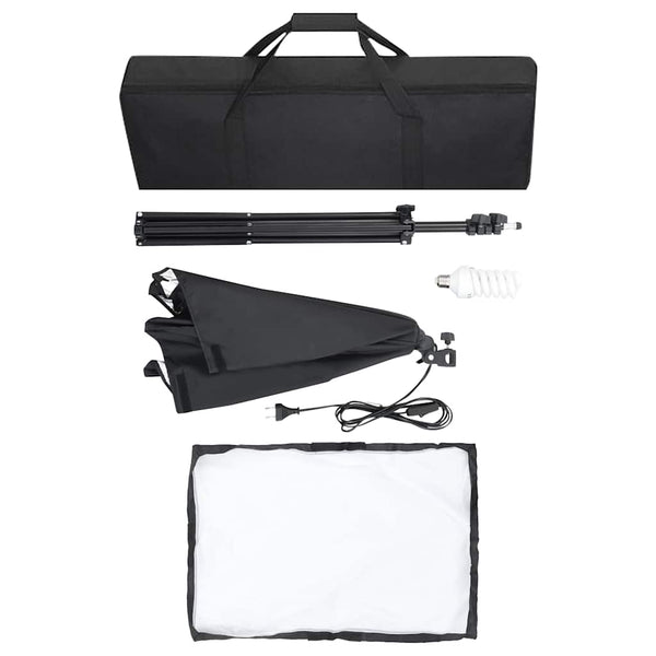 vidaXL Professional Studio Lights 2 pcs. 40x60 cm Steel Black