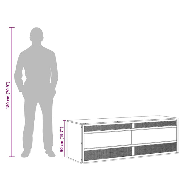 vidaXL Terrarium Engineered Wood 120x50x50 cm