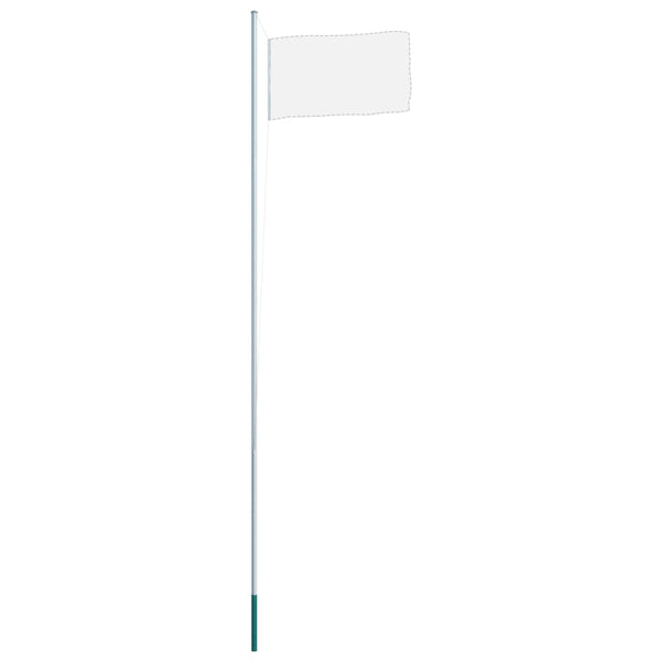 vidaXL Aluminium Flagpole 6.2 m