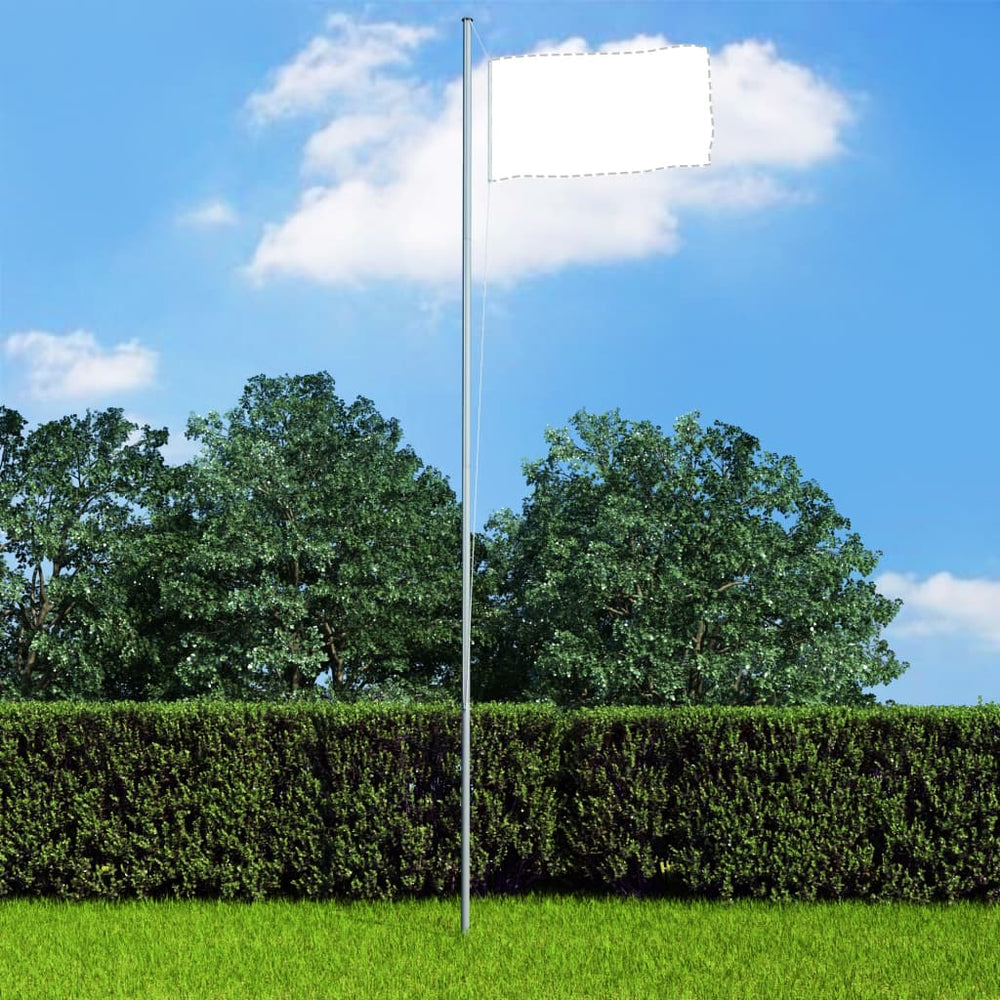 vidaXL Aluminium Flagpole 6.2 m