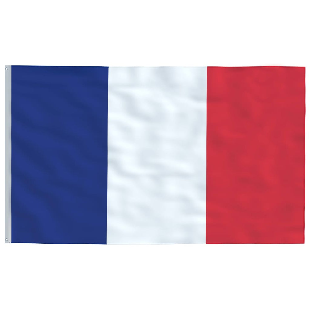 vidaXL French Flag 90 x 150 cm
