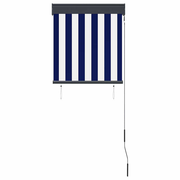 vidaXL Outdoor Roller Blind 60 x 250 cm Blue and White