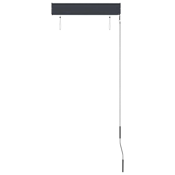 vidaXL Outdoor Roller Blind 60 x 250 cm Blue and White