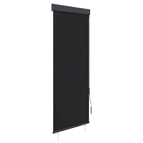 vidaXL Outdoor Roller Blind 60 x 250 cm Anthracite