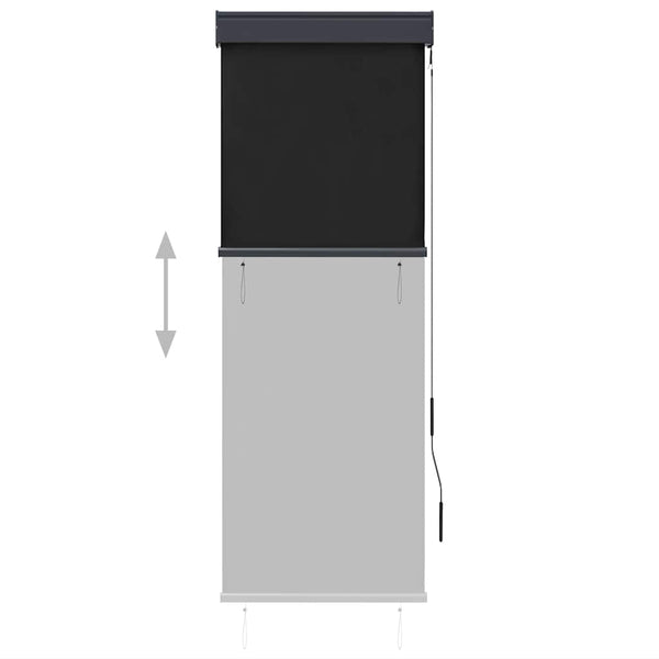 vidaXL Outdoor Roller Blind 60 x 250 cm Anthracite