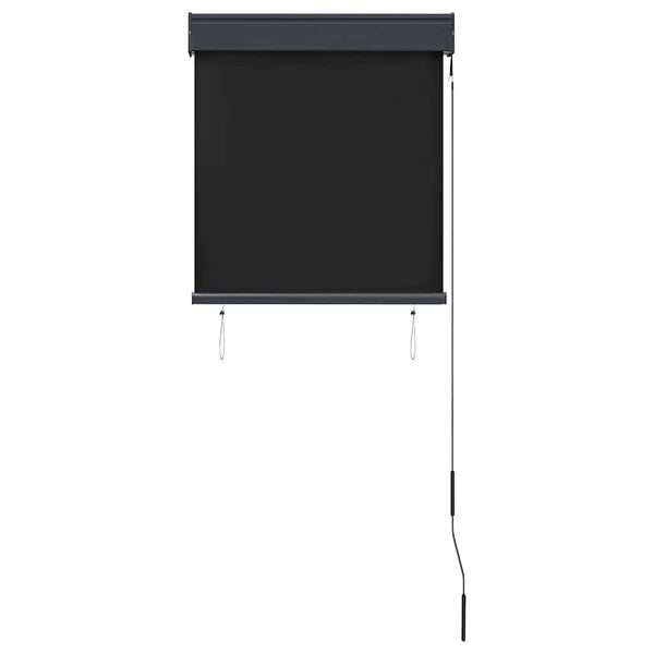 vidaXL Outdoor Roller Blind 60 x 250 cm Anthracite