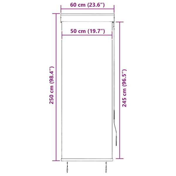 vidaXL Outdoor Roller Blind 60 x 250 cm Cream