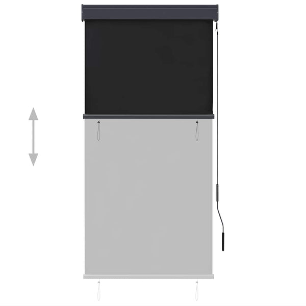 vidaXL Outdoor Roller Blind 80 x 250 cm Anthracite