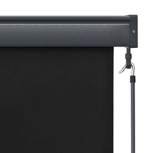 vidaXL Outdoor Roller Blind 80 x 250 cm Anthracite