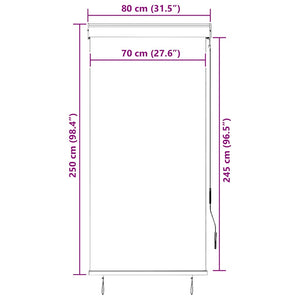 vidaXL Outdoor Roller Blind 80 x 250 cm Anthracite