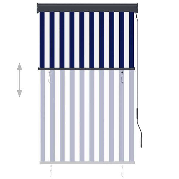 vidaXL Outdoor Blind 100 x 250 cm Blue and White