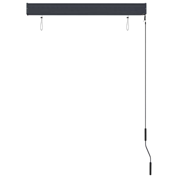 vidaXL Outdoor Blind 100 x 250 cm Blue and White