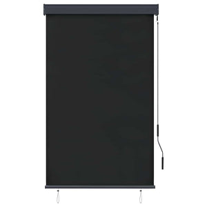vidaXL Outdoor Roller Blind 100 x 250 cm Anthracite