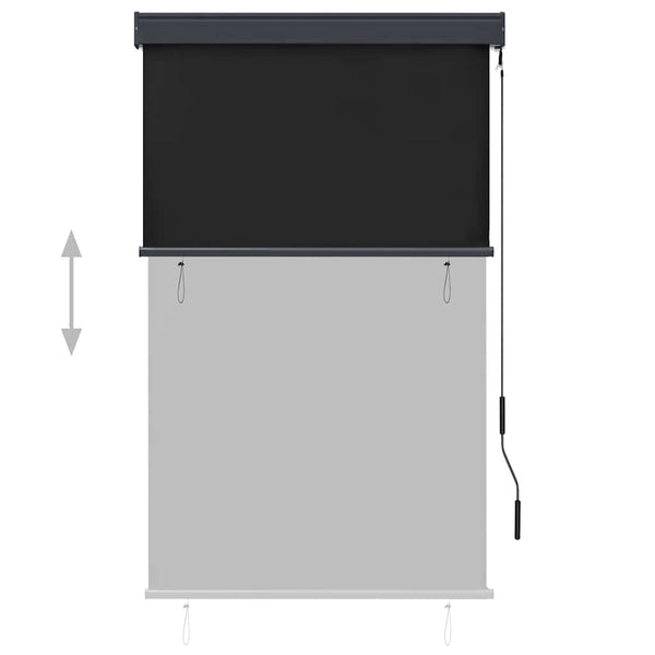 vidaXL Outdoor Roller Blind 100 x 250 cm Anthracite