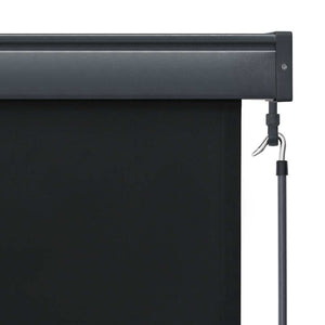 vidaXL Outdoor Roller Blind 100 x 250 cm Anthracite