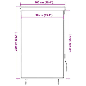 vidaXL Outdoor Roller Blind 100 x 250 cm Anthracite