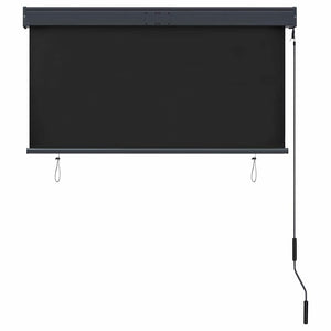 vidaXL Outdoor Roller Blind 120 x 250 cm Anthracite