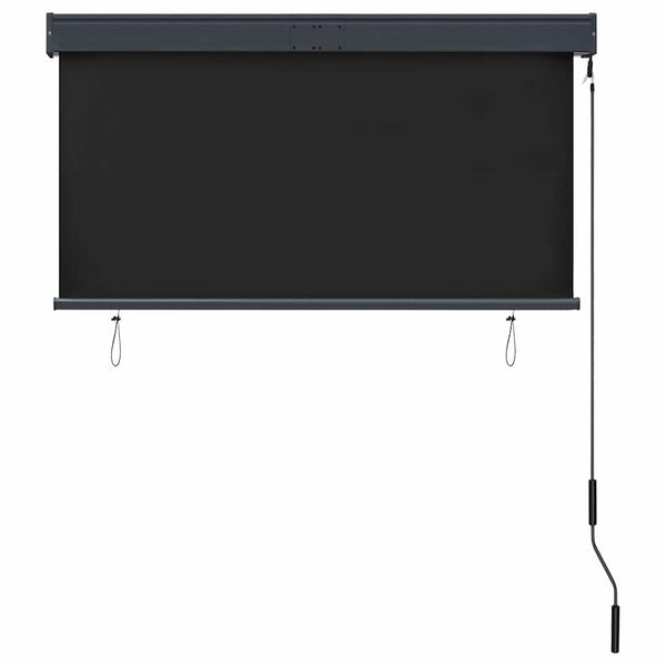 vidaXL Outdoor Roller Blind 120 x 250 cm Anthracite