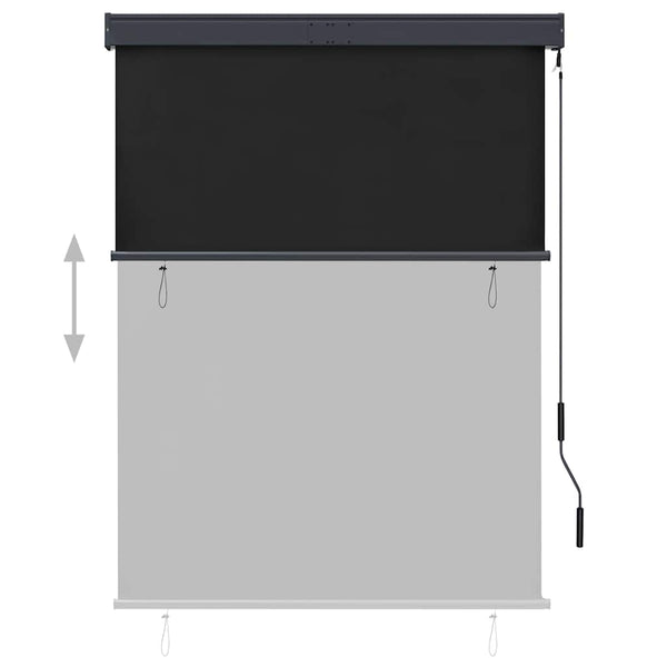 vidaXL Outdoor Roller Blind 120 x 250 cm Anthracite