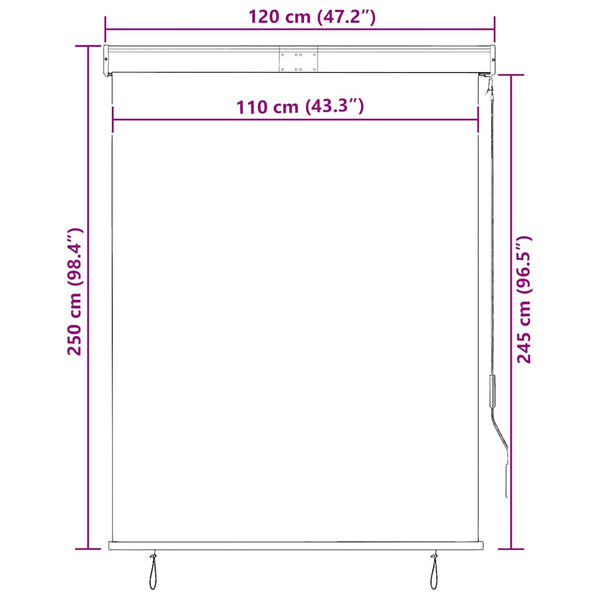 vidaXL Outdoor Roller Blind 120 x 250 cm Anthracite