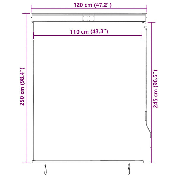 vidaXL Outdoor Roller Blind 120 x 250 cm Cream White