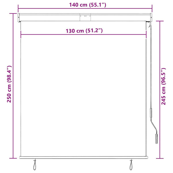 vidaXL Outdoor Roller Blind 140x250 cm Blue and White