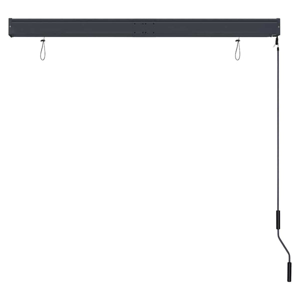 vidaXL Outdoor Roller Blind 140x250 cm Anthracite