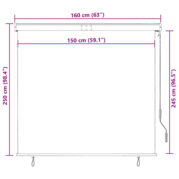 vidaXL Outdoor Roller Blind 160x250 cm Blue and White