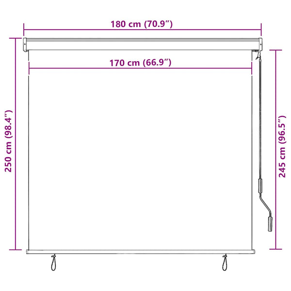 vidaXL Outdoor Blind 170 x 250 cm Cream