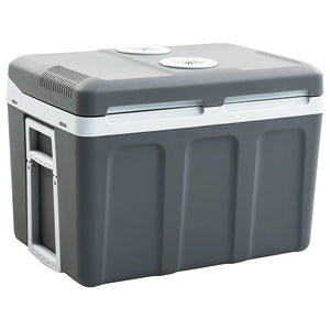 vidaXL Thermoelectric Cooler 40 L 12V 230V E