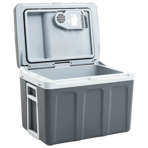vidaXL Thermoelectric Cooler 40 L 12V 230V E