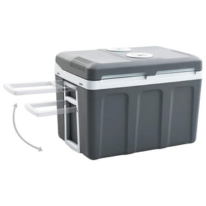 vidaXL Thermoelectric Cooler 40 L 12V 230V E