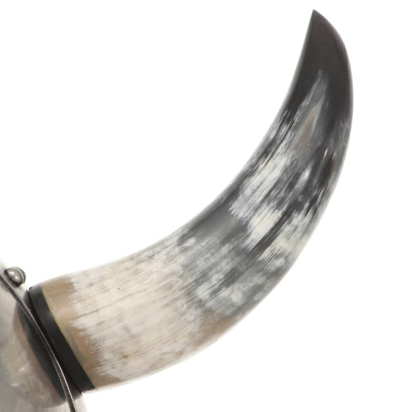 vidaXL Fantasy Viking Helmet LARP Silver Steel