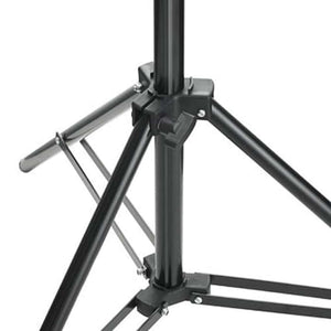 vidaXL Photo Studio Set with Backdrops, Lights, and Umbrellas