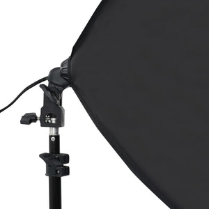vidaXL Photo Studio Set with Softboxes and Backdrop System