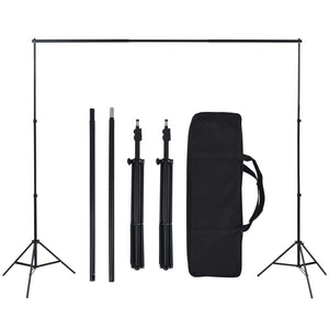 vidaXL Photo Studio Set with Softboxes and Backdrop System