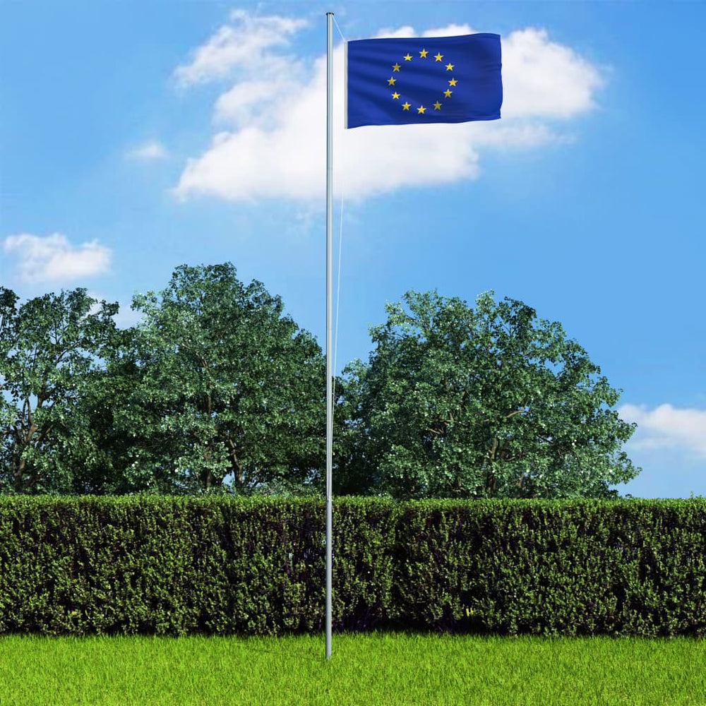 vidaXL European Flag and Pole Aluminum 6.2 m