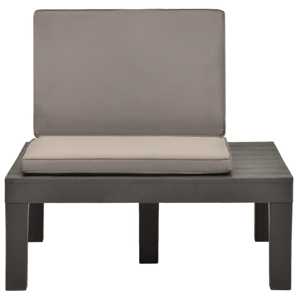 vidaXL Garden Chairs with Cushions 2 pcs Plastic Anthracite