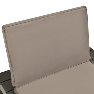 vidaXL Garden Chairs with Cushions 2 pcs Plastic Anthracite