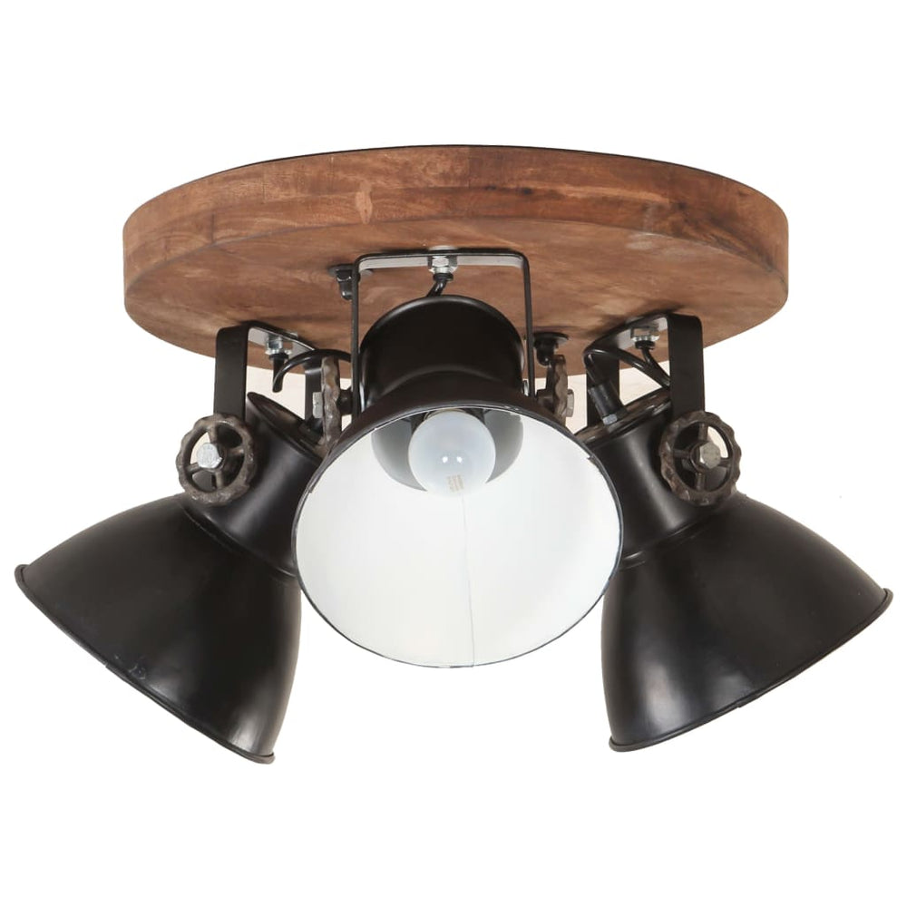 Industrielle Deckenlampe Schwarz E27