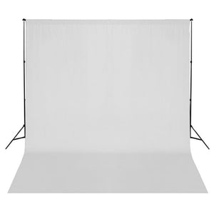 vidaXL Photo Studio Set with Light Kit and Background