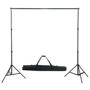 vidaXL Photo Studio Set with Lights and Backdrop System