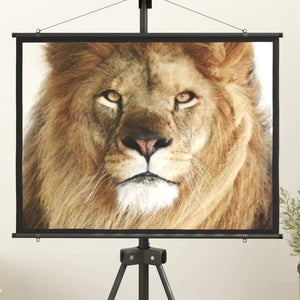 vidaXL Projector Screen 50" 4:3