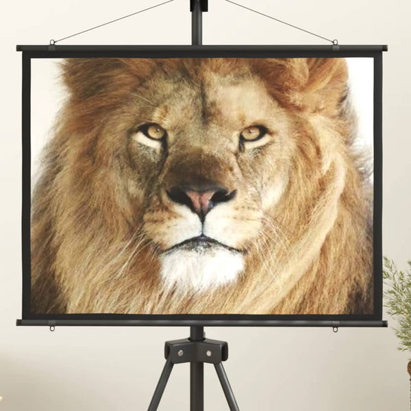 vidaXL Projector Screen 50" 4:3