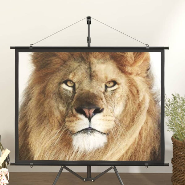 vidaXL Projector Screen 60" 4:3