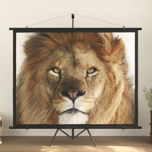vidaXL Projector Screen 100" 4:3