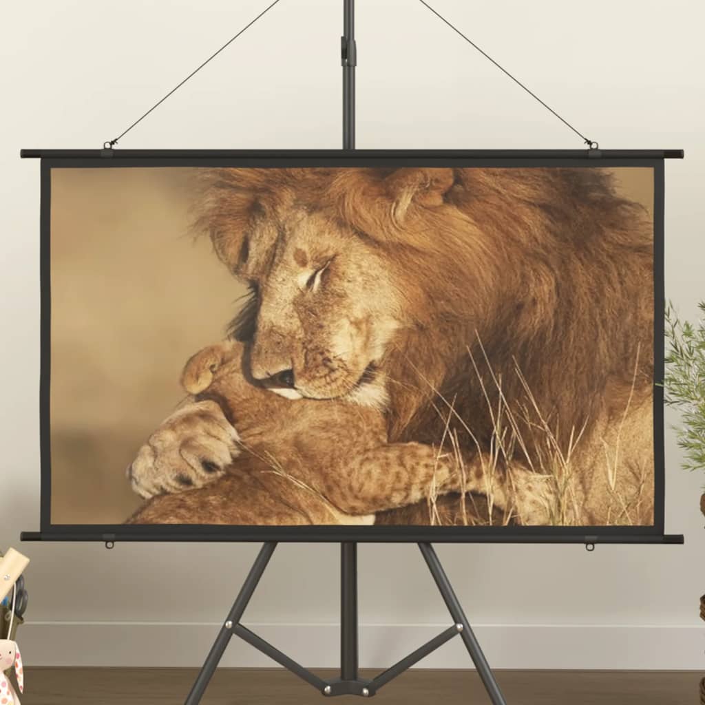 vidaXL Projector Screen 50" 16:9