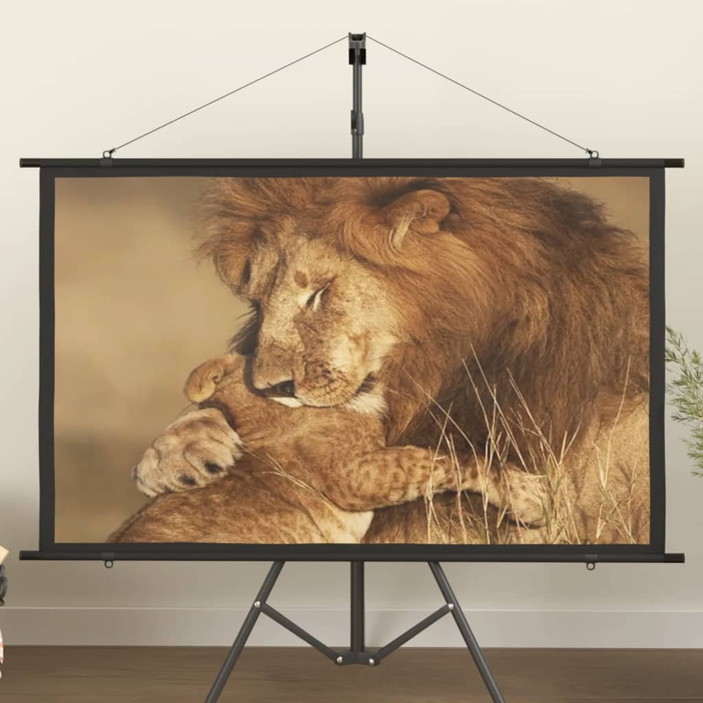 vidaXL Projector Screen 60" 16:9